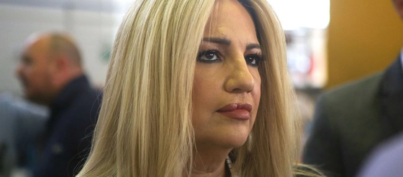 Φ.Γεννηματά: «Ο Κ.Μητσοτάκης οφείλει άμεσα να ζητήσει με επιστολή του την σύγκληση του Ευρωπαϊκού Συμβουλίου»